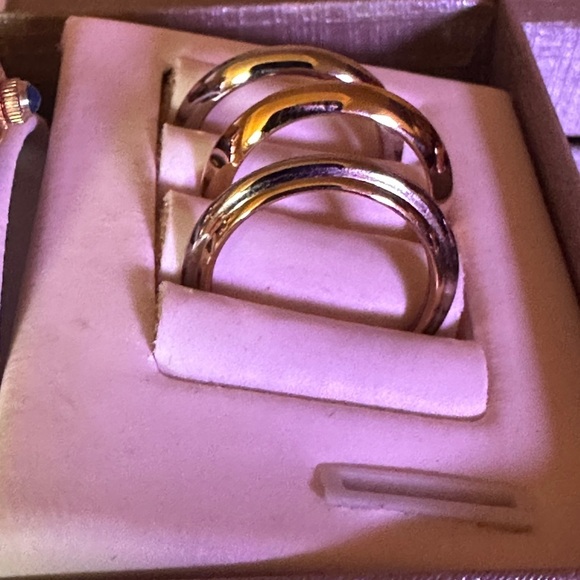 Watch Gloria Vanderbilt II with 4 Bezels